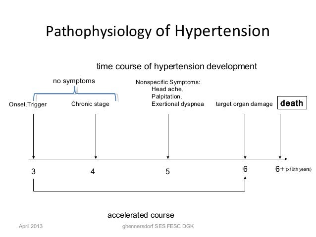 pathophysiology of hypertension
