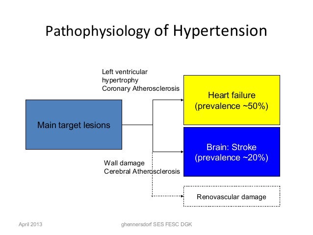 pathophysiology of hypertension