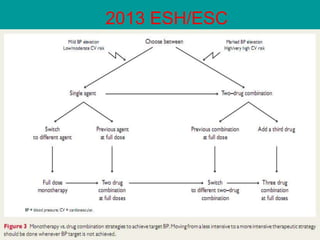 2013 ESH/ESC  