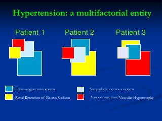 Renin-angiotensin system 
Sympathetic nervous system 
Vasoconstriction/ 
Renal Retention of Excess Sodium 
Vascular Hypertrophy 
Hypertension: a multifactorial entity 
Patient 1Patient 2Patient 3  