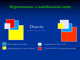 Renin-angiotensin system 
Sympathetic nervous system 
Vasoconstriction/ 
Diuretic 
Vascular Hypertrophy 
Renal Retention of Excess Sodium 
Hypertension: a multifactorial entity  