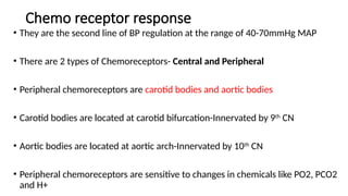 Comprehensive Overview of Arterial Blood Pressure and Hypertension ...