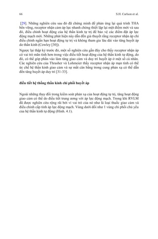66 S.H. Carlson et al.
[29]. Những nghiên cứu sau đó đã chứng minh để phản ứng lại quá trình THA
bền vững, receptor nhận cảm áp lực nhanh chóng thiết lập lại một điểm mới và sau
đó, điều chỉnh hoạt động của hệ thần kinh tự trị để bảo vệ các điểm đặt áp lực
động mạch mới. Những phát hiện này dẫn đến giả thuyết rằng receptor nhận áp chỉ
điều chỉnh ngắn hạn hoạt động tự trị và không tham gia lâu dài vào tăng huyết áp
do thần kinh (Cowley [30]).
Ngược lại thập kỷ trước đó, một số nghiên cứu gần đây cho thấy receptor nhận áp
có vai trò mãn tính hơn trong việc điều tiết hoạt động của hệ thần kinh tự động, do
đó, có thể góp phần vào làm tăng giao cảm và duy trì huyết áp ở một số cá nhân.
Các nghiên cứu của Thrasher và Lohmeier thấy receptor nhận áp mạn tính có thể
ức chế hệ thần kinh giao cảm và sự mất cân bằng trong cung phản xạ có thể dẫn
đến tăng huyết áp duy trì [31-33].
điều tiết hệ thống thần kinh chi phối huyết áp
Ngoài những thay đổi trong kiểm soát phản xạ của hoạt động tự trị, tăng hoạt động
giao cảm có thể do điều tiết trung ương với áp lực động mạch. Trong khi RVLM
đã được nghiên cứu rộng rãi bởi vì vai trò của nó như là loại thuốc giao cảm và
điều chỉnh cấp tính áp lực động mạch. Vùng dưới đồi như 1 vùng chi phối chủ yếu
của hệ thần kinh tự động (Hình. 4.1).
 