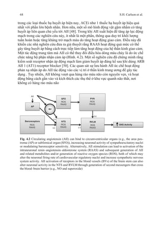 68 S.H. Carlson et al.
trong các loại thuốc hạ huyết áp hiện nay, ACEi như 1 thuốc hạ huyết áp hiệu quả
nhất với phần lớn bệnh nhân. Hơn nữa, một số mô hình động vật gặm nhấm có tăng
huyết áp liên quan chủ yếu tới AII [48]. Trong khi AII xuất hiện để tăng áp lực động
mạch trong các nghiên cứu này, ít nhất là một phần, thông qua duy trì khối lượng
tuần hoàn hoặc tăng kháng trở mạch máu do tăng hoạt động giao cảm. Điều này đã
khiến các nhà nghiên cứu đưa ra giả thuyết rằng RAAS hoạt động quá mức có thể
gây tăng huyết áp bằng cách trực tiếp làm tăng hoạt động của hệ thần kinh giao cảm.
Một tác động trung tâm mà AII có thể thay đổi điều hòa dòng máu chảy là do ức chế
chức năng bộ phận nhận cảm áp (Hình. 4.2). Một số nghiên cứu đã chứng minh rằng
kiểm soát receptor nhận áp động mạch làm giảm huyết áp đáng kể sau khi dùng ARB
AII 1 (AT1) receptor blocker [50]. Các quan sát sự lưu hành AII ức chế hoạt động
phản xạ nhận áp do AII tác động vào các vị trí ở thần kinh trung ương để gây tác
dụng . Tuy nhiên, AII không vượt qua hàng rào máu não còn nguyên vẹn, và hoạt
động bằng cách gắn vào và kích thích các thụ thể ở khu vực quanh não thất, nơi
không có hàng rào máu não
Fig. 4.2 Circulating angiotensin (AII) can bind to circumventricular organs (e.g., the area pos-
trema (AP) or subfornical organ (SFO)), increasing neuronal activity of sympathoexcitatory nuclei
or modulating baroreceptor sensitivity. Alternatively, AII stimulation can lead to activation of the
intraneuronal renin–angiotensin–aldosterone system (RAAS) and subsequent generation of AII
and related metabolites and/or generation of reactive oxygen species (ROS), both of which may
alter the neuronal firing rate of cardiovascular regulatory nuclei and increase sympathetic nervous
system activity. AII activation of receptors in the blood vessels (BVs) of the brain stem can also
alter neuronal activity in the NTS and RVLM through generation of second messengers that cross
the blood–brain barrier (e.g., NO and superoxide)
 