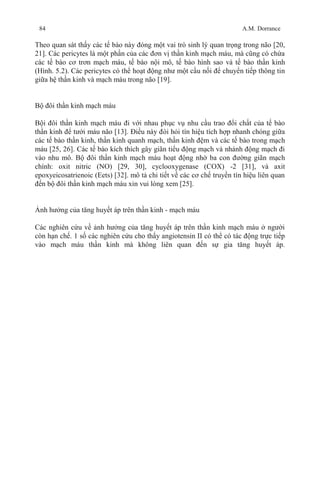 84 A.M. Dorrance
Theo quan sát thấy các tế bào này đóng một vai trò sinh lý quan trọng trong não [20,
21]. Các pericytes là một phần của các đơn vị thần kinh mạch máu, mà cũng có chứa
các tế bào cơ trơn mạch máu, tế bào nội mô, tế bào hình sao và tế bào thần kinh
(Hình. 5.2). Các pericytes có thể hoạt động như một cầu nối để chuyển tiếp thông tin
giữa hệ thần kinh và mạch máu trong não [19].
Bộ đôi thần kinh mạch máu
Bội đôi thần kinh mạch máu đi với nhau phục vụ nhu cầu trao đổi chất của tế bào
thần kinh để tưới máu não [13]. Điều này đòi hỏi tín hiệu tích hợp nhanh chóng giữa
các tế bào thần kinh, thần kinh quanh mạch, thần kinh đệm và các tế bào trong mạch
máu [25, 26]. Các tế bào kích thích gây giãn tiểu động mạch và nhánh động mạch đi
vào nhu mô. Bộ đôi thần kinh mạch máu hoạt động nhờ ba con đường giãn mạch
chính: oxit nitric (NO) [29, 30], cyclooxygenase (COX) -2 [31], và axit
epoxyeicosatrienoic (Eets) [32]. mô tả chi tiết về các cơ chế truyền tín hiệu liên quan
đến bộ đôi thần kinh mạch máu xin vui lòng xem [25].
Ảnh hưởng của tăng huyết áp trên thần kinh - mạch máu
Các nghiên cứu về ảnh hưởng của tăng huyết áp trên thần kinh mạch máu ở người
còn hạn chế. 1 số các nghiên cứu cho thấy angiotensin II có thể có tác động trực tiếp
vào mạch máu thần kinh mà không liên quan đến sự gia tăng huyết áp.
 
