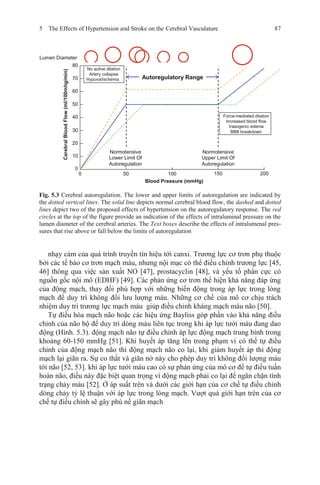 Force-mediated dilation
Increased blood flow
Vasogenic edema
BBB breakdown
No active dilation
Artery collapse
Hypoxia/Ischemia Autoregulatory Range
Normotensive
Lower Limit Of
Autoregulation
Normotensive
Upper Limit Of
Autoregulation
5 The Effects of Hypertension and Stroke on the Cerebral Vasculature 87
Lumen Diameter
80
70
60
50
40
30
20
10
0
0 50 100
Blood Pressure (mmHg)
150 200
Fig. 5.3 Cerebral autoregulation. The lower and upper limits of autoregulation are indicated by
the dotted vertical lines. The solid line depicts normal cerebral blood flow, the dashed and dotted
lines depict two of the proposed effects of hypertension on the autoregulatory response. The red
circles at the top of the figure provide an indication of the effects of intraluminal pressure on the
lumen diameter of the cerebral arteries. The Text boxes describe the effects of intralumenal pres-
sures that rise above or fall below the limits of autoregulation
nhạy cảm của quá trình truyền tín hiệu tới canxi. Trương lực cơ trơn phụ thuộc
bởi các tế bào cơ trơn mạch máu, nhưng nội mạc có thể điều chỉnh trương lực [45,
46] thông qua việc sản xuất NO [47], prostacyclin [48], và yếu tố phân cực có
nguồn gốc nội mô (EDHF) [49]. Các phản ứng cơ trơn thể hiện khả năng đáp ứng
của động mạch, thay đổi phù hợp với những biến động trong áp lực trong lòng
mạch để duy trì không đổi lưu lượng máu. Những cơ chế của mô cơ chịu trách
nhiệm duy trì trương lực mạch máu giúp điều chỉnh kháng mạch máu não [50].
Tự điều hòa mạch não hoặc các hiệu ứng Bayliss góp phần vào khả năng điều
chỉnh của não bộ để duy trì dòng máu liên tục trong khi áp lực tưới máu đang dao
động (Hình. 5.3). động mạch não tự điều chỉnh áp lực động mạch trung bình trong
khoảng 60-150 mmHg [51]. Khi huyết áp tăng lên trong phạm vi có thể tự điều
chỉnh của động mạch não thì động mạch não co lại, khi giảm huyết áp thì động
mạch lại giãn ra. Sự co thắt và giãn nở này cho phép duy trì không đổi lượng máu
tới não [52, 53]. khi áp lực tưới máu cao có sự phản ứng của mô cơ để tự điều tuần
hoàn não, điều này đặc biệt quan trọng vì động mạch phải co lại để ngăn chặn tình
trạng chảy máu [52]. Ở áp suất trên và dưới các giới hạn của cơ chế tự điều chỉnh
dòng chảy tỷ lệ thuận với áp lực trong lòng mạch. Vượt quá giới hạn trên của cơ
chế tự điều chỉnh sẽ gây phù nề giãn mạch
CerebralBloodFlow(ml/100mhg/min)
 