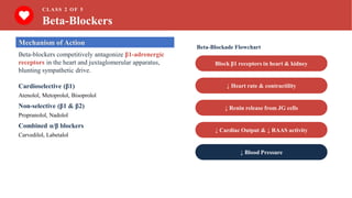 CLASS 2 OF 5
Beta-Blockers
Mechanism of Action
Beta-blockers competitively antagonize β1-adrenergic
receptors in the heart and juxtaglomerular apparatus,
blunting sympathetic drive.
Cardioselective (β1)
Atenolol, Metoprolol, Bisoprolol
Non-selective (β1 & β2)
Propranolol, Nadolol
Combined α/β blockers
Carvedilol, Labetalol
Beta-Blockade Flowchart
Block β1 receptors in heart & kidney
↓ Heart rate & contractility
↓ Renin release from JG cells
↓ Cardiac Output & ↓ RAAS activity
↓ Blood Pressure
 