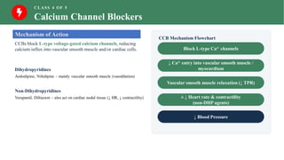 CLASS 4 OF 5
Calcium Channel Blockers
Mechanism of Action
CCBs block L-type voltage-gated calcium channels, reducing
calcium influx into vascular smooth muscle and/or cardiac cells.
Dihydropyridines
Amlodipine, Nifedipine – mainly vascular smooth muscle (vasodilation)
Non-Dihydropyridines
Verapamil, Diltiazem – also act on cardiac nodal tissue (↓ HR, ↓ contractility)
CCB Mechanism Flowchart
Block L-type Ca²⁺ channels
↓ Ca²⁺ entry into vascular smooth muscle /
myocardium
Vascular smooth muscle relaxation (↓ TPR)
± ↓ Heart rate & contractility
(non-DHP agents)
↓ Blood Pressure
 