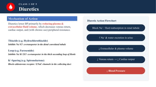 CLASS 1 OF 5
Diuretics
Mechanism of Action
Diuretics lower BP primarily by reducing plasma &
extracellular fluid volume, which decreases venous return,
cardiac output, and (with chronic use) peripheral resistance.
Thiazide (e.g. Hydrochlorothiazide)
Inhibits Na⁺/Cl⁻ co-transporter in the distal convoluted tubule
Loop (e.g. Furosemide)
Inhibits Na⁺/K⁺/2Cl⁻ co-transporter in the thick ascending loop of Henle
K⁺-Sparing (e.g. Spironolactone)
Blocks aldosterone receptor / ENaC channels in the collecting duct
Diuretic Action Flowchart
Block Na⁺ / fluid reabsorption in renal tubule
↑ Na⁺ & water excretion in urine
↓ Extracellular & plasma volume
↓ Venous return → ↓ Cardiac output
↓ Blood Pressure
 