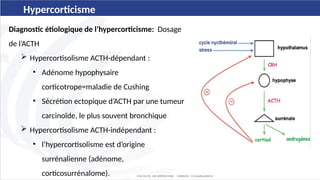 Comprehensive Overview of Endocrine Hypertension: Diagnosis and ...