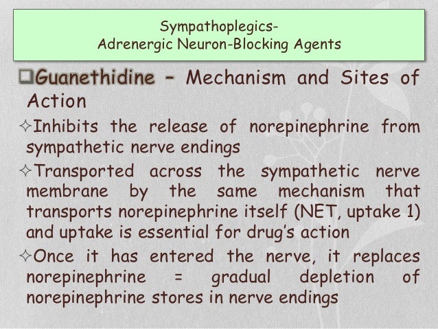 Anti Hypertensive Drugs anti-hypertensive-drugs