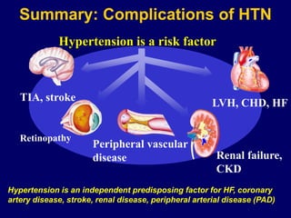 Renal failure,
CKD
Peripheral vascular
disease
Summary: Complications of HTN
LVH, CHD, HF
TIA, stroke
Hypertension is a risk factor
Hypertension is an independent predisposing factor for HF, coronary
artery disease, stroke, renal disease, peripheral arterial disease (PAD)
 