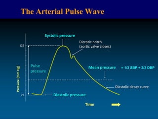 The Arterial Pulse Wave
75
125
Pressure
(mm
Hg)
Systolic pressure
Diastolic pressure
Mean pressure
Diastolic decay curve
Dicrotic notch
(aortic valve closes)
Time
Pulse
pressure
= 1/3 SBP + 2/3 DBP
 