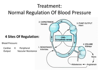 Treatment:
Normal Regulation Of Blood Pressure
4 Sites Of Regulation:
Blood Pressure:
Cardiac X Peripheral
Output Vascular Resistance
 
