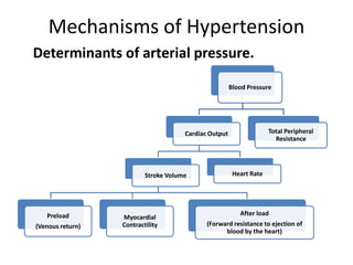 Mechanisms of Hypertension
Determinants of arterial pressure.
Blood Pressure
Cardiac Output
Stroke Volume
Preload
(Venous return)
Myocardial
Contractility
After load
(Forward resistance to ejection of
blood by the heart)
Heart Rate
Total Peripheral
Resistance
 