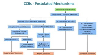 CCBs - Postulated Mechanisms
 