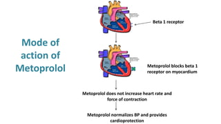 Beta 1 receptor
Metoprolol blocks beta 1
receptor on myocardium
Metoprolol does not increase heart rate and
force of contraction
Metoprolol normalizes BP and provides
cardioprotection
Mode of
action of
Metoprolol
 
