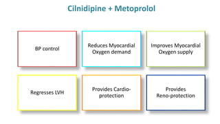 BP control
Reduces Myocardial
Oxygen demand
Improves Myocardial
Oxygen supply
Regresses LVH
Provides Cardio-
protection
Provides
Reno-protection
Cilnidipine + Metoprolol
 