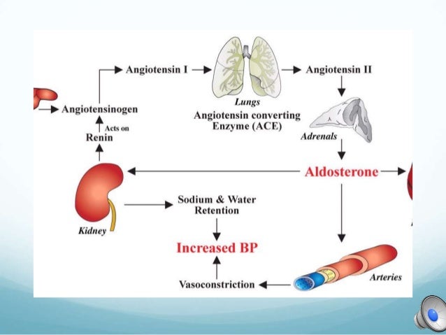 Hypertency Hypertension And Heart Failure - 