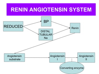 RENIN ANGIOTENSIN SYSTEM
REDUCED
BP
DISTAL
TUBULAR
Na
Renin
Angiotensin
substrate
Angiotensin
I
Converting enzyme
Angiotensin
II
 