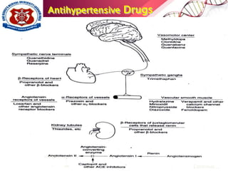 Antihypertensive Drugs
Continue….
AT1 receptor
ARB
 