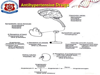 Antihypertensive
Antihypertensive Drugs
Drugs
Continue….
AT1 receptor
ARB
 