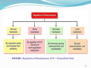 12
FIGURE : Regulation of blood pressure. ECF = Extracellular fluid.
 
