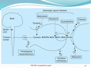 20
FIGURE: Sympatholytic agents
 