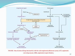 47
FIGURE : Sites of action of drugs that interfere with the renin-angiotensin-aldosterone system. ACE, angiotensin-
converting enzyme; ARBs, angiotensin receptor blockers.
 