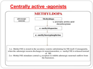 Centrally active -agonists
 