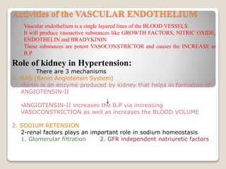 Activities of the VASCULAR ENDOTHELIUM
• Vascular endothelium is a single layered lines of the BLOOD VESSELS
• It will produce vasoactive substances like GROWTH FACTORS, NITRIC OXIDE,
ENDOTHELIN and BRADYKININ
• These substances are potent VASOCONSTRICTOR and causes the INCREASE in
B.P
Role of kidney in Hypertension:
There are 3 mechanisms
1. RAS (Renin Angiotensin System)
•Renin is an enzyme produced by kidney that helps in formation of
ANGIOTENSIN-II
•ANGIOTENSIN-II increases the B.P via increasing
VASOCONSTRICTION as well as increases the BLOOD VOLUME
2. SODIUM RETENSION
2-renal factors plays an important role in sodium homeostasis
1. Glomerular filtration 2. GFR independent natriuretic factors
 