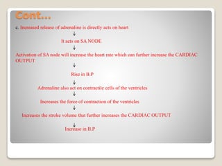 Cont…
c. Increased release of adrenaline is directly acts on heart
It acts on SA NODE
Activation of SA node will increase the heart rate which can further increase the CARDIAC
OUTPUT
Rise in B.P
Adrenaline also act on contractile cells of the ventricles
Increases the force of contraction of the ventricles
Increases the stroke volume that further increases the CARDIAC OUTPUT
Increase in B.P
 