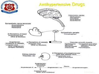 Antihypertensive Drugs
Continue….
AT1 receptor
ARB
 