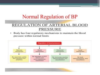 Example Bp Regulation Hypertension PPT.pptx High blood pressure it's cause and management | PPTX