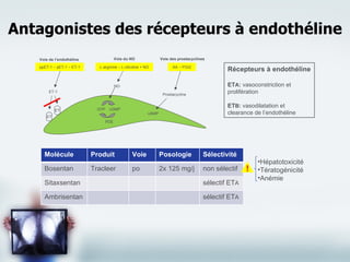 Antagonistes des récepteurs à endothéline Récepteurs à endothéline ET A :  vasoconstriction et prolifération ET B :  vasodilatation et clearance de l’endothéline Molécule Produit Voie Posologie Sélectivité Bosentan Tracleer po 2x 125 mg/j non sélectif Sitaxsentan sélectif ET A Ambrisentan sélectif ET A Voie de l’endothéline Voie du NO Voie des prostacyclines ppET-1 – pET-1 – ET-1 L-arginine – L-citruline + NO AA – PGI2 Prostacycline NO ET-1 ET GTP cGMP PDE cAMP ET Hépatotoxicité Tératogénicité Anémie ! 