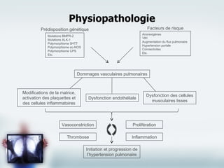 Physiopathologie Prédisposition génétique Mutations BMPR-2 Mutations ALK-1 Polymorphisme 5HTT Polymorphisme ec-NOS Polymorphisme CPS Etc. Facteurs de risque Anorexigènes VIH Augmentation du flux pulmonaire Hypertension portale Connectivites Etc. Dommages vasculaires pulmonaires Dysfonction des cellules musculaires lisses Dysfonction endothéliale Modifications de la matrice, activation des plaquettes et des cellules inflammatoires Vasoconstriction Thrombose Prolifération Inflammation Initiation et progression de l’hypertension pulmonaire 