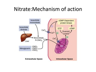 Nitrate:Mechanism of action
 