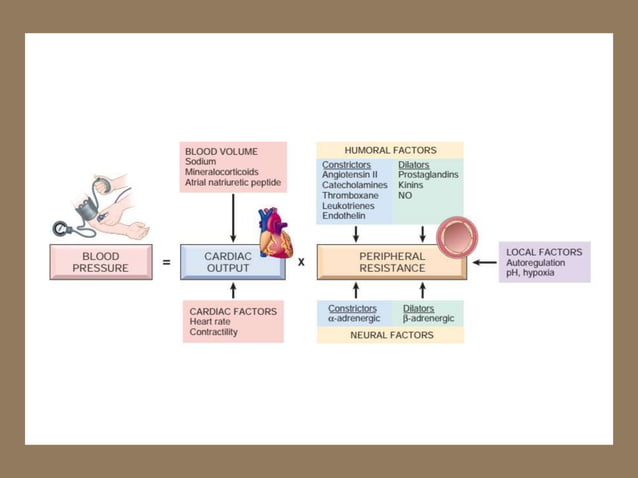 Basic science and forensic pathology aspects of Hypertensive ...