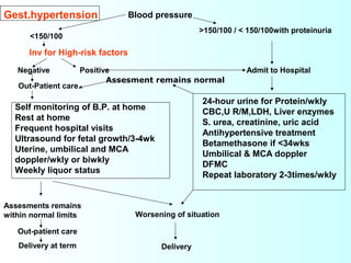 Hypertensive Disorder In Pregnancy 1