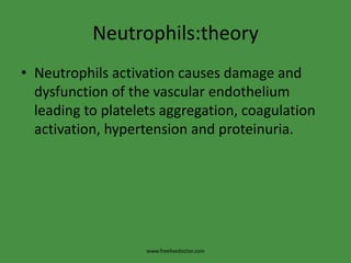 Neutrophils:theoryNeutrophils activation causes damage and dysfunction of the vascular endothelium leading to platelets aggregation, coagulation activation, hypertension and proteinuria.www.freelivedoctor.com