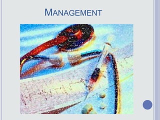 MANAGEMENT
 