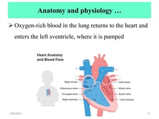 Anatomy and physiology …
 Oxygen-rich blood in the lung returns to the heart and
enters the left sventricle, where it is pumped
3/26/2024 5
 