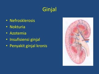 Ginjal
• Nefrosklerosis
• Nokturia
• Azotemia
• Insufisiensi ginjal
• Penyakit ginjal kronis
 