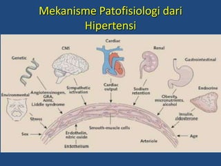 Mekanisme Patofisiologi dari
Hipertensi
 