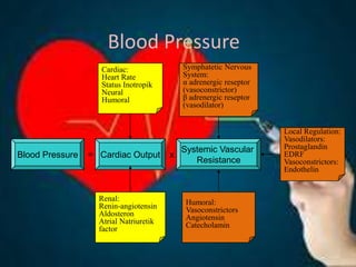 Blood Pressure
Blood Pressure
Systemic Vascular
Resistance
Cardiac Output
Cardiac:
Heart Rate
Status Inotropik
Neural
Humoral
Symphatetic Nervous
System:
α adrenergic reseptor
(vasoconstrictor)
β adrenergic reseptor
(vasodilator)
Humoral:
Vasoconstrictors
Angiotensin
Catecholamin
Renal:
Renin-angiotensin
Aldosteron
Atrial Natriuretik
factor
Local Regulation:
Vasodilators:
Prostaglandin
EDRF
Vasoconstrictors:
Endothelin
= x
 