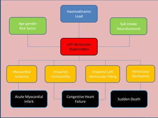 Haemodinamic
Load
Age gender
Risk factor
Salt Intake
Neurohumoral
Left Ventricular
Hypertrophy
Ventricular
Disrhytmia
Impaired Left
Ventricular Filling
Impaired
Contractility
Myocardial
Ischemia
Acute Myocardial
Infark
Congestive Heart
Failure
Sudden Death
 