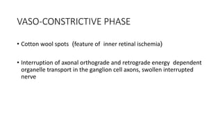 VASO-CONSTRICTIVE PHASE
• Cotton wool spots (feature of inner retinal ischemia)
• Interruption of axonal orthograde and retrograde energy dependent
organelle transport in the ganglion cell axons, swollen interrupted
nerve
 