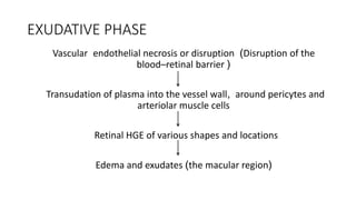 EXUDATIVE PHASE
Vascular endothelial necrosis or disruption (Disruption of the
blood–retinal barrier )
Transudation of plasma into the vessel wall, around pericytes and
arteriolar muscle cells
Retinal HGE of various shapes and locations
Edema and exudates (the macular region)
 