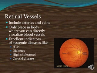 Retinal Vessels
 Include arteries and veins
 Only place in body
where you can directly
visualize blood vessels
 Excellent indicators
of systemic diseases like-
 HTN
 Diabetes
 High cholesterol
 Carotid disease
 