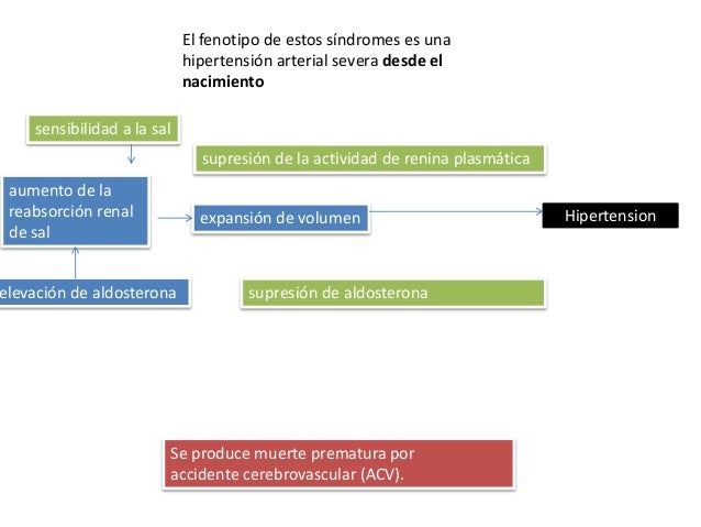 Hipertension_Guia de practica clinica Hipertension_Guia de practica clinica